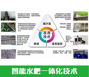 智慧農(nóng)業(yè)|山東華勝溫室智能水肥一體化技術設備實施方案