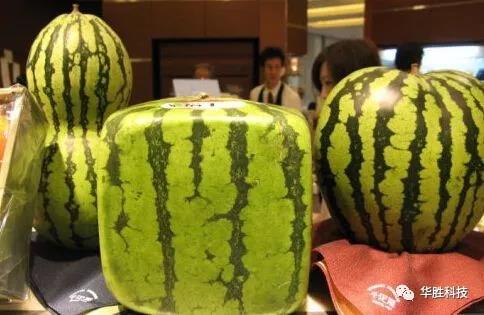 水果種植騙局！農(nóng)民朋友要當心了！