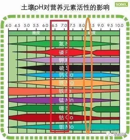 土壤的三大“殺手” 直接影響肥效和作物生長，90％的人都不知道！