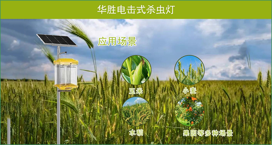 您還在愁怎么殺蟲嗎？來(lái)看看華勝電擊式殺蟲燈（HS-DJSC-M）?。?！